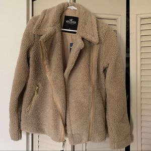 Hollister Cozy Biker Jacket